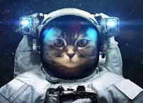 Galactic cat